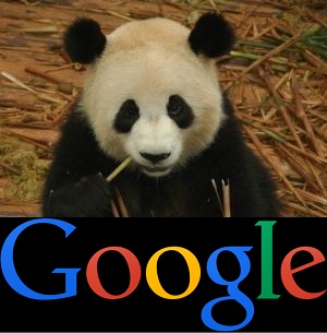 google panda algorithm update